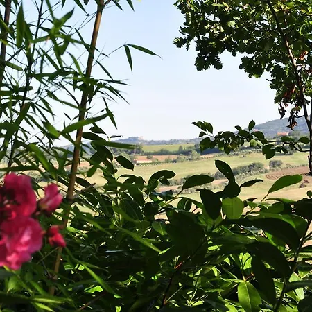Firenze فندق